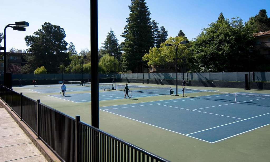 Spruce Apartments Sunnyvale Facilités photo
